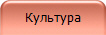 Культура